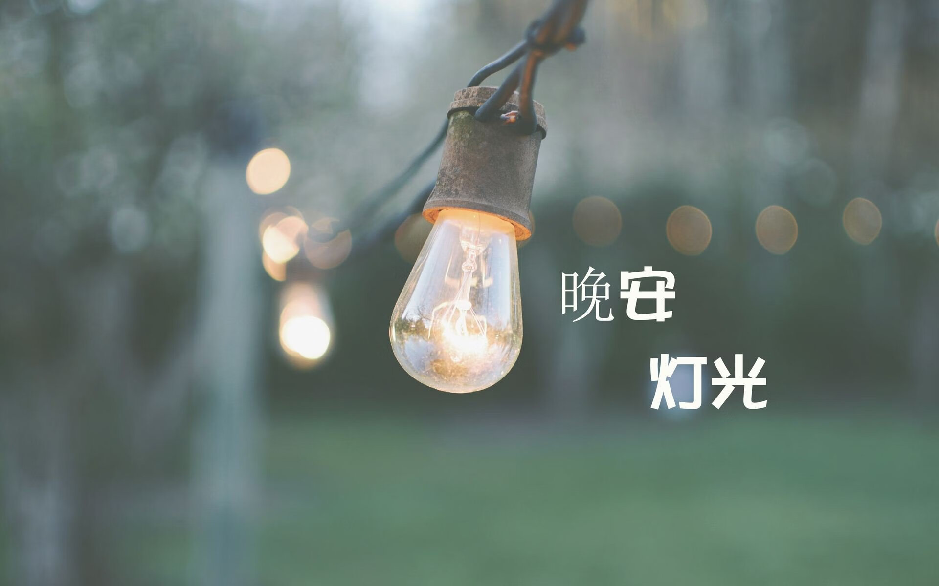 九游APP官网-德国马术协会与大学合作，开展马术运动营养研究，优化饮食方案。
