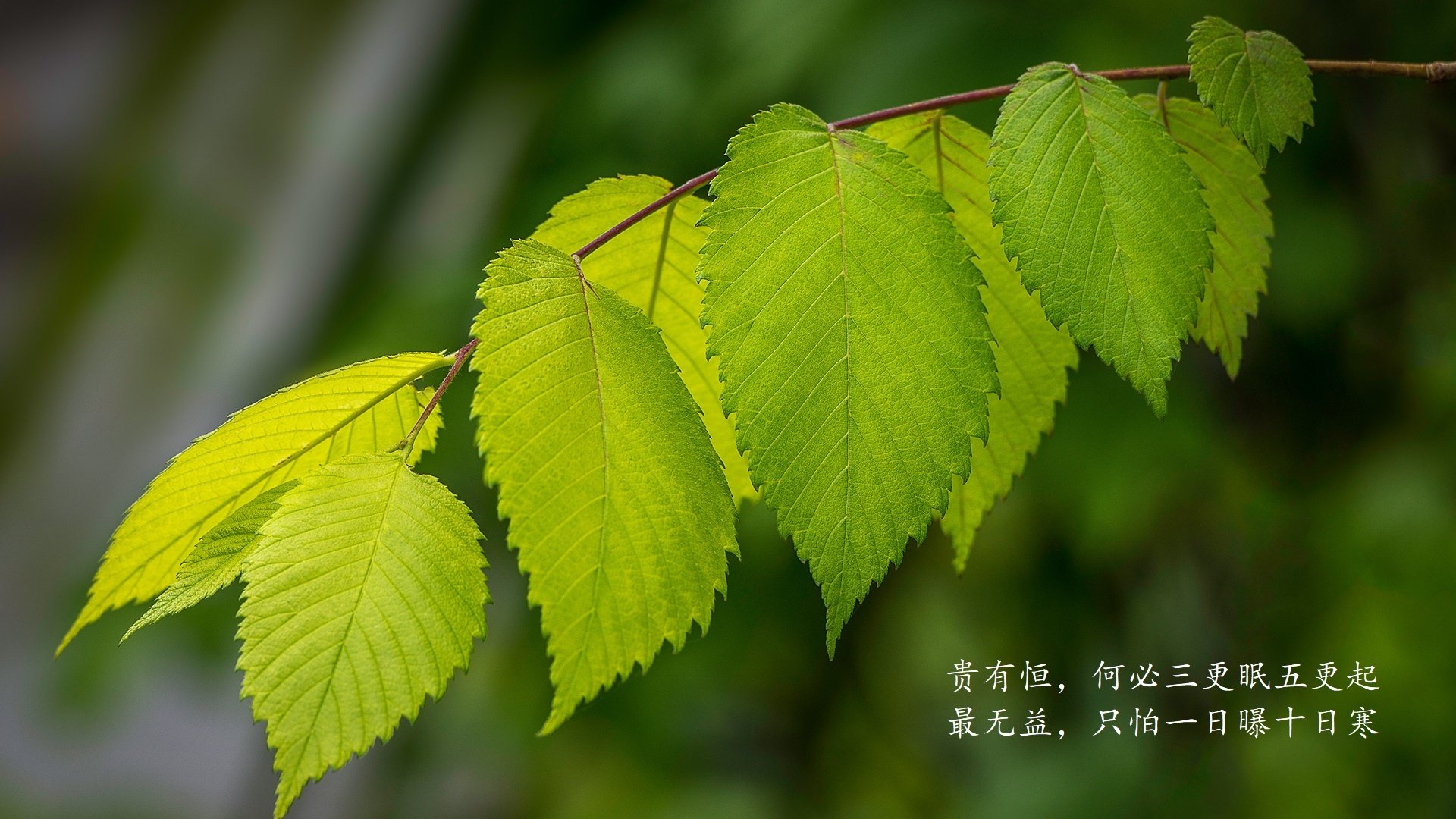 未来联盟：电竞化、虚拟现实打造沉浸式体验场景，未来电竞bl