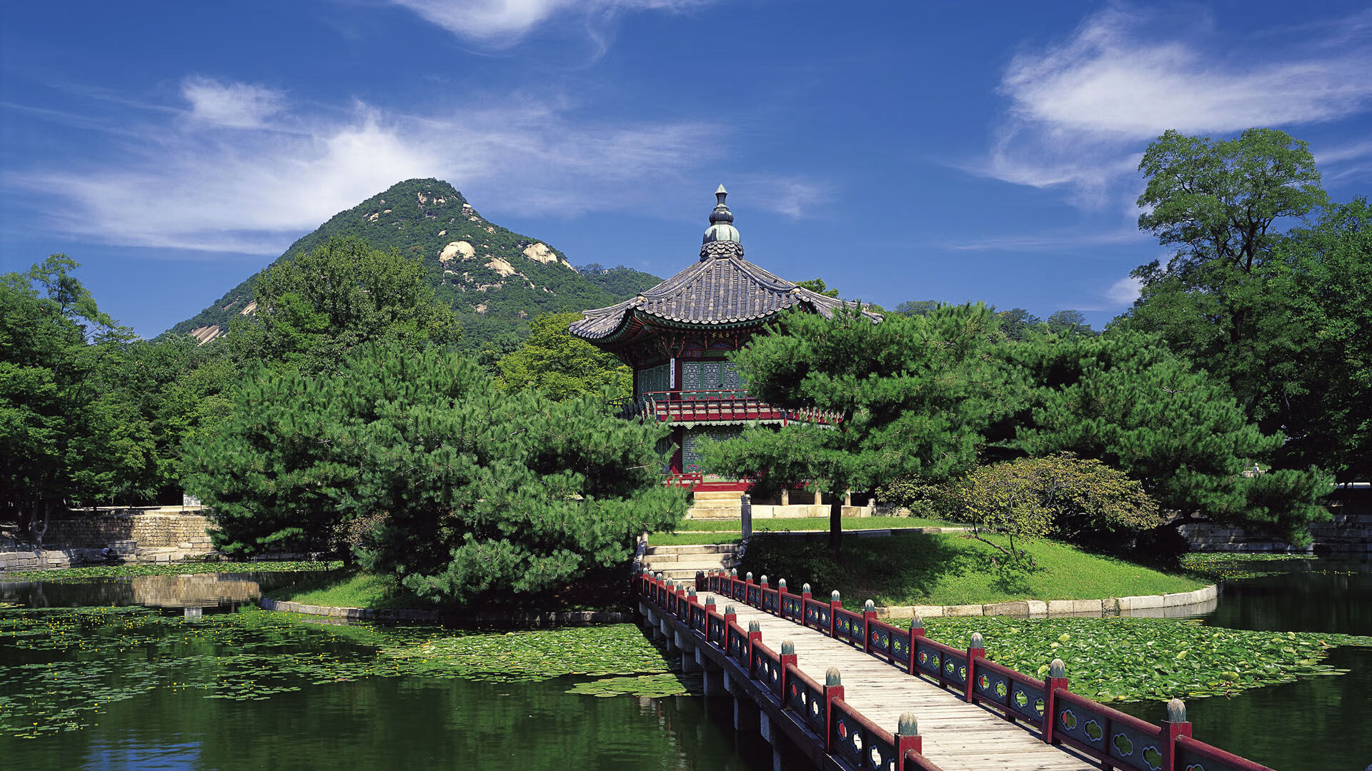 未来篮球场：全息投影与虚拟场景成新宠，未来篮球馆