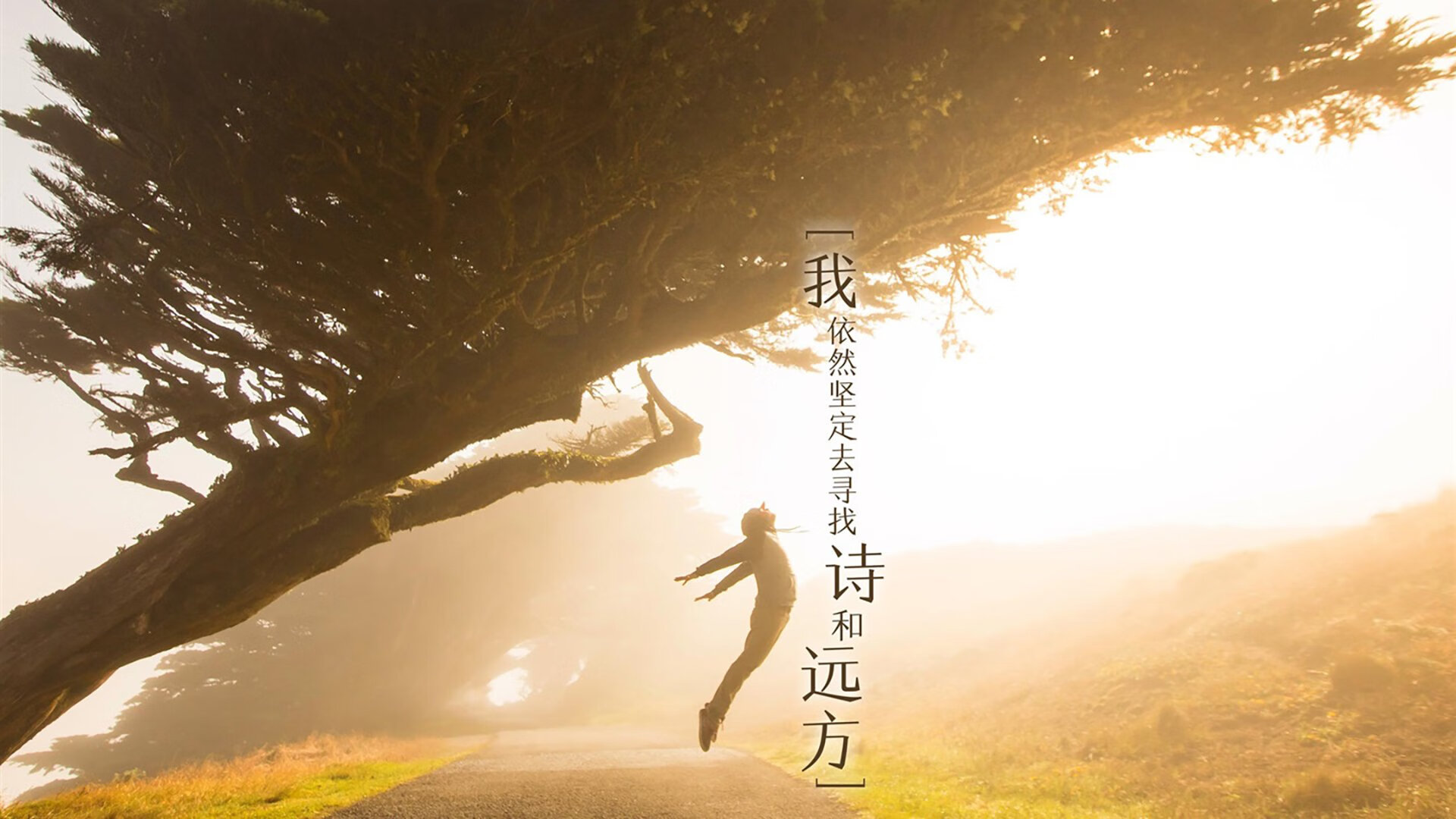 九游下载官网-加拿大队在国际乒联混合团体世界杯中的技术创新与配合，加拿大国家队乒乓球