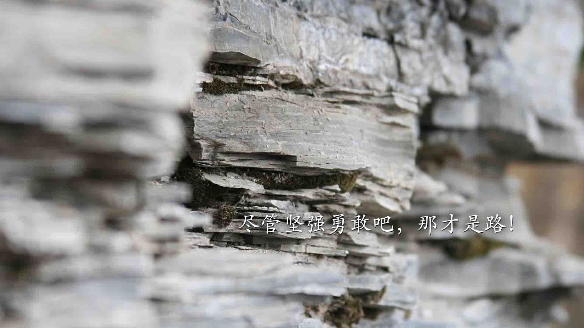 雷恩中前场频繁换位增强灵活性，雷恩队老板