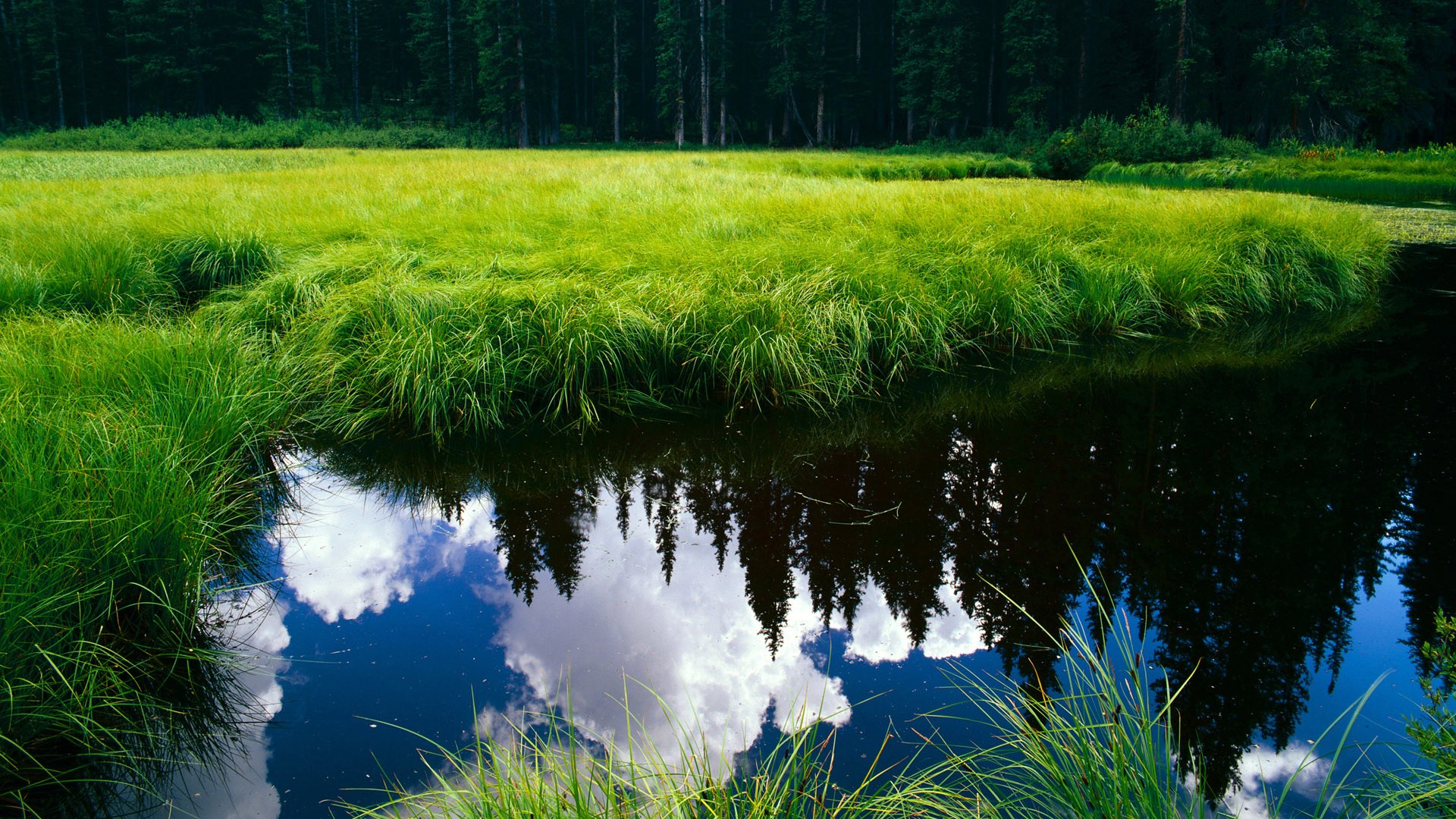黄蜂赛季备战日程公布每日安排紧凑高效，黄蜂新赛季